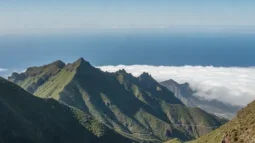 Anaga-Naturpark, Teneriffa: Lorbeerwälder, Aussichtspunkte und die schönste Fahrroute (2026)