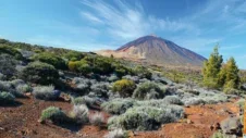 Die majestätische Schönheit und Bedeutung des Teide auf Teneriffa erkunden