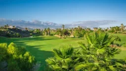 Golf-Paradies: Tee Time Bliss in Teneriffas besten Golfclubs
