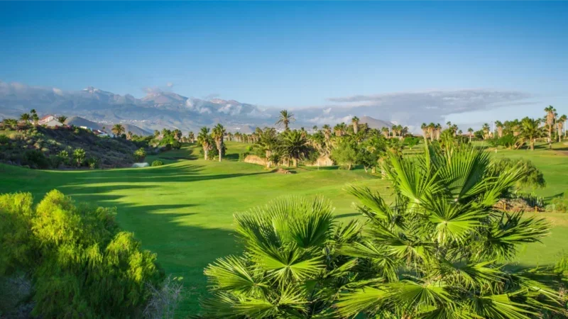 Golf-Paradies: Tee Time Bliss in Teneriffas besten Golfclubs