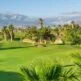 Golf-Paradies: Tee Time Bliss in Teneriffas besten Golfclubs