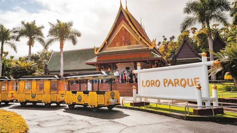 Loro Parque Teneriffa – Entdecke das Herz des Naturwunders der Insel
