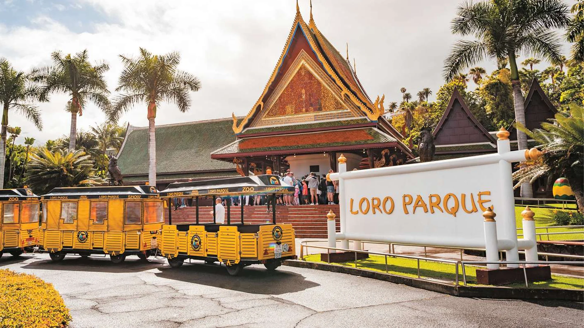 Loro Parque Teneriffa – Entdecke das Herz des Naturwunders der Insel
