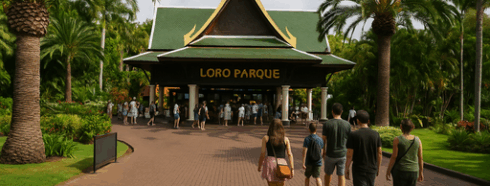 Loro Parque Teneriffa – Entdecke das Herz des Naturwunders der Insel
