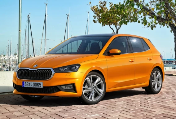 Skoda Fabia (Automatik, 1.5 L, 5 Sitze)