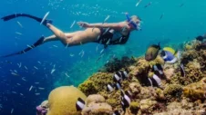 Schwimmen mit der Strömung: Ein tiefer Tauchgang zu den Schnorchelplätzen Teneriffas