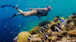 Schwimmen mit der Strömung: Ein tiefer Tauchgang zu den Schnorchelplätzen Teneriffas