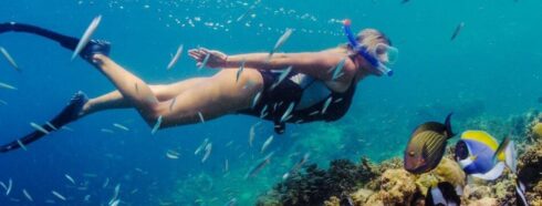 Schwimmen mit der Strömung: Ein tiefer Tauchgang zu den Schnorchelplätzen Teneriffas