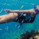Schwimmen mit der Strömung: Ein tiefer Tauchgang zu den Schnorchelplätzen Teneriffas