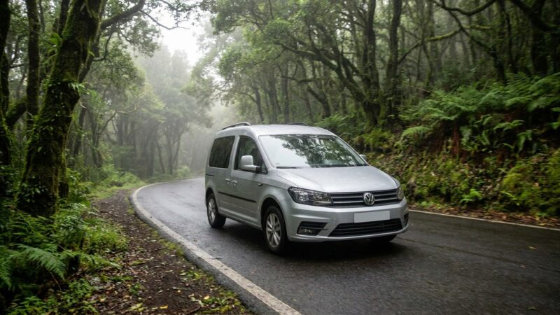 Volkswagen Caddy Fahrbericht Teneriffa: Ist er das Richtige für Sie?